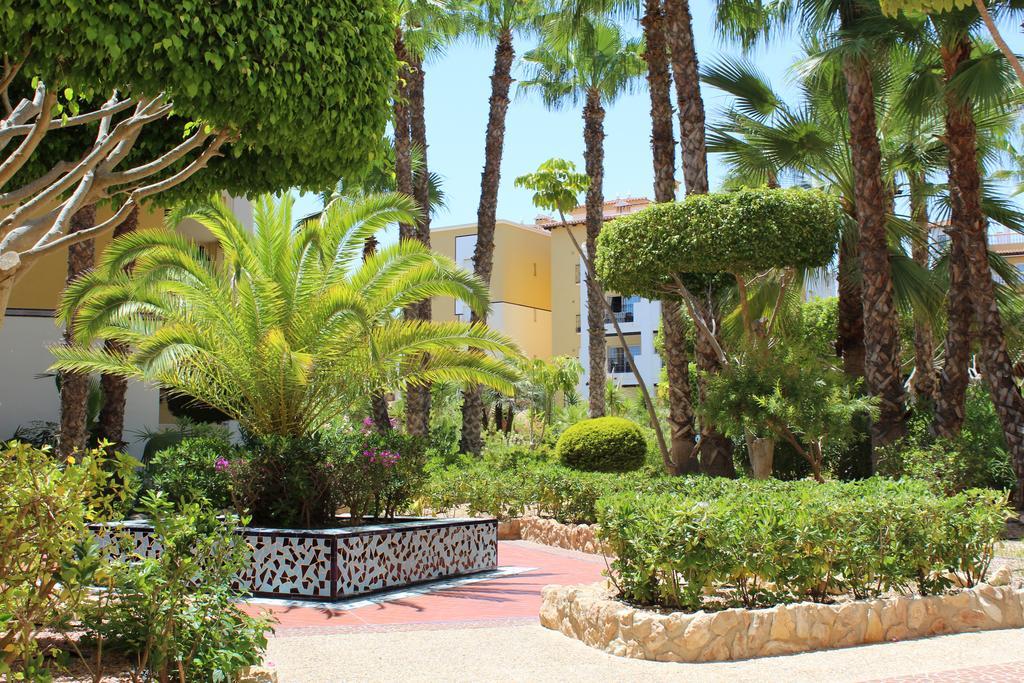 Апартаменты Aldea Del Mar Торевьиа Экстерьер фото
